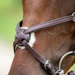 Nunn Finer Figure Eight Bridle -Prestige Store bridle3 46165870 fad2 409e ae3d ca7da5e4cdc6