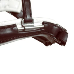 Acavallo Filosofia Bridle -Prestige Store bridle3 35524.1587741816.1280.1280