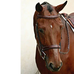 Nunn Finer Caterina Hunter Bridle -Prestige Store bridle5 897aa7a3 ce3b 4720 b97d 9e9ac9222f48