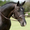 Dy'on Fancy Stitch Wide Noseband Bridle -Prestige Store bridle5 8a50a5b1 e847 4071 a99a 8a7f5cf16b2e