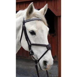 Nunn Finer Figure Eight Bridle -Prestige Store bridle5 9a50a3e3 345a 4af3 8fc7 ec18cd907750