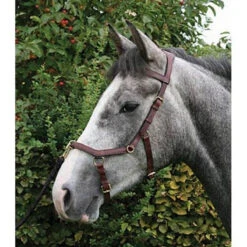 Horseware Rambo Micklem Multibridle -Prestige Store bridle6 176ffa29 d9a4 474f 9cc0 dc82ba1c9ad6