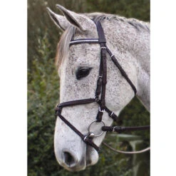 Nunn Finer Padded Figure 8 Noseband With Interchangeable Button Pieces -Prestige Store bridle7 93402.1588702952.1280.1280