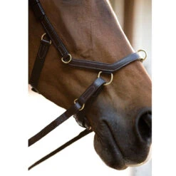 Horseware Rambo Micklem Multibridle -Prestige Store bridle7 dbdae65c 834f 4c38 82af 05b9ee064b97