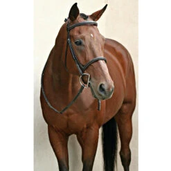 Nunn Finer Elena Hunter Bridle -Prestige Store bridle7 df3ecb4e b033 46d4 bb3c 3bfe7a5c5abb