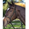 Passier Fortuna Snaffle Bridle -Prestige Store bridle8 40386.1589504217.1280.1280