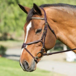 Nunn Finer Padded Figure 8 Noseband With Interchangeable Button Pieces -Prestige Store bridle8 91054.1588702953.1280.1280