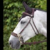 Dyon Hackamore Bridle 1 Dyon Hackamore Bridle -Prestige Store bridle 0f6fd6db 7a4e 4f09 a701 04281ee797bf