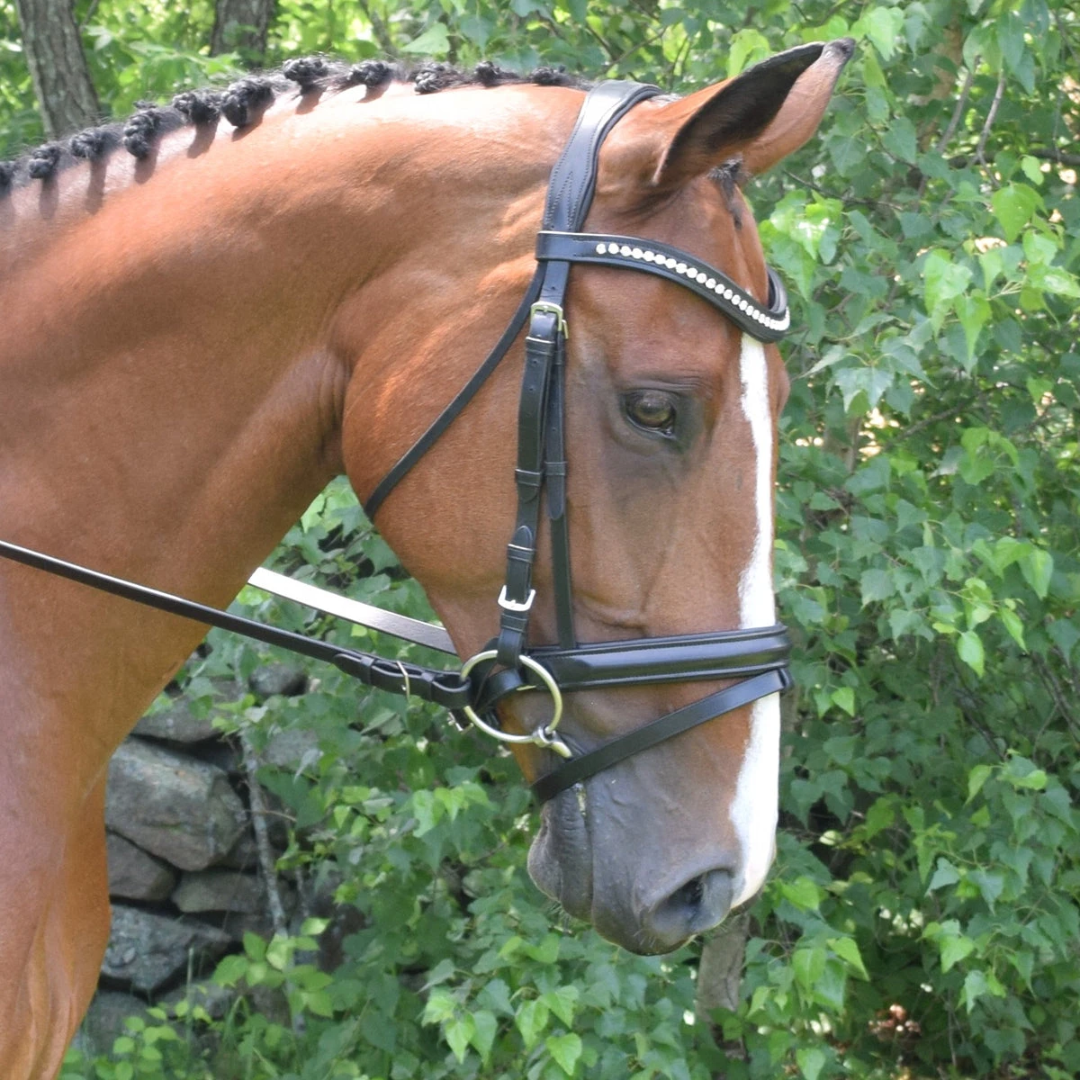 Black Oak By KL Select Magnolia Dressage Bridle 3 Black Oak By KL Select Magnolia Dressage Bridle