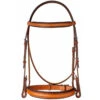 Edgewood 1" Fancy Raised Padded Bridle With Padded Crown -Prestige Store bridle 28693.1590761944.1280.1280