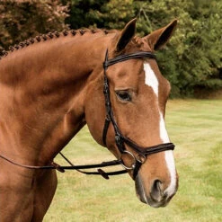 Rambo Micklem Deluxe Competition Bridle -Prestige Store havana 17224.1590614971.1280.1280