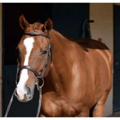 Huntley Equestrian Sedgwick Leather Fancy Stitched Bridle 29 Huntley Equestrian Sedgwick Leather Fancy Stitched Bridle -Prestige Store huntley eq sedgwick aust nut5 95416.1588357252.1280.1280
