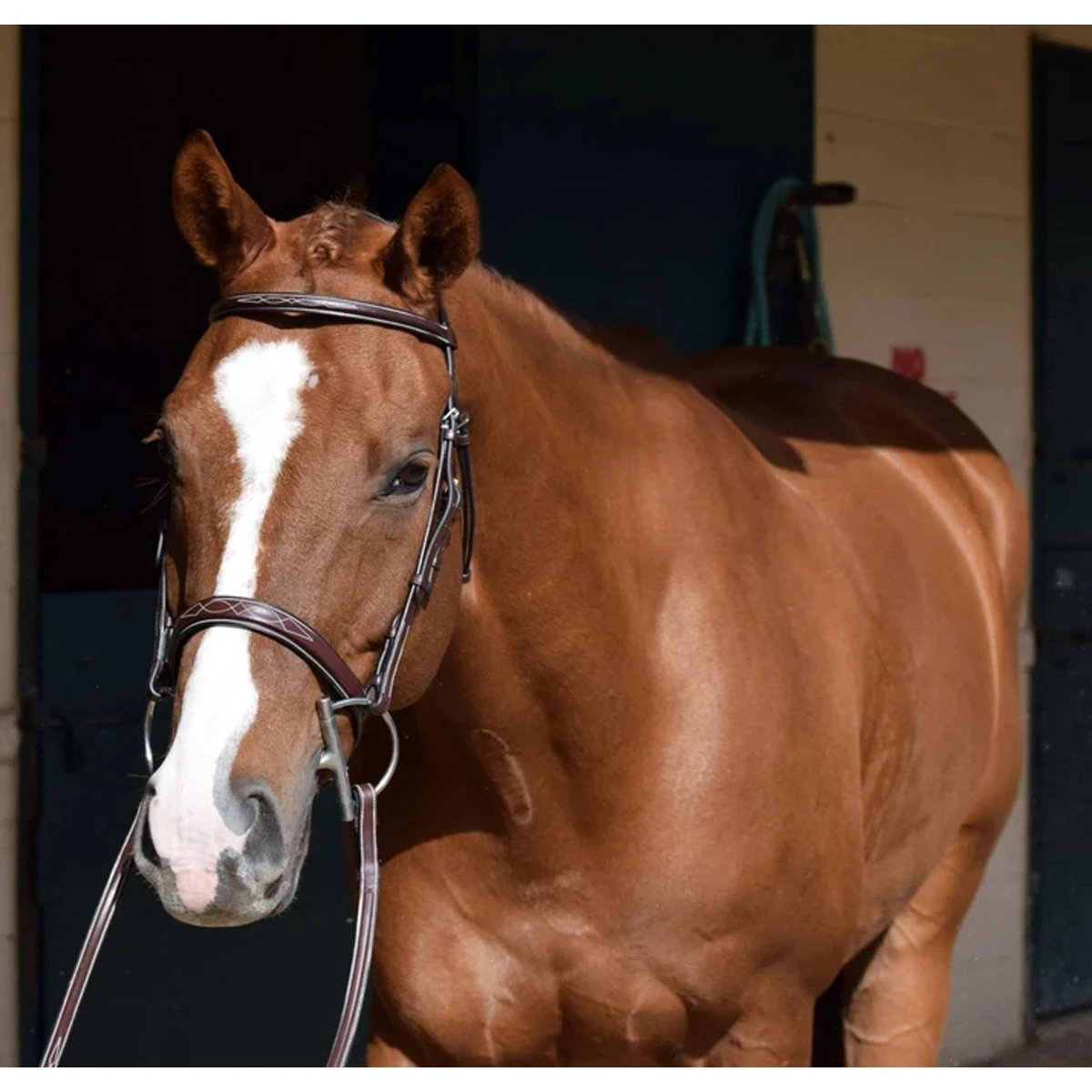 Huntley Equestrian Sedgwick Leather Fancy Stitched Bridle 15 Huntley Equestrian Sedgwick Leather Fancy Stitched Bridle - Image 13