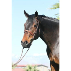 Huntley Equestrian Sedgwick Leather Fancy Stitched Bridle 30 Huntley Equestrian Sedgwick Leather Fancy Stitched Bridle -Prestige Store huntley eq sedgwick conker 02308.1589920650.1280.1280