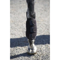 Ice Horse Tendon Wrap -Prestige Store ice horse tendon wrap5 36438.1588363182.1280.1280