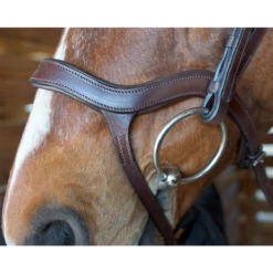 Nunn Finer Innovativo Shaped Bridle -Prestige Store innovatio3