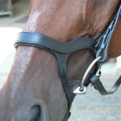 Nunn Finer Innovativo Shaped Bridle -Prestige Store innovatio4