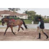 Pessoa Lunging System -Prestige Store lunge