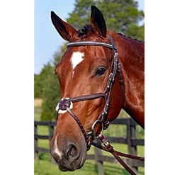 Nunn Finer Figure Eight Bridle -Prestige Store new 31853545 40ae 422b a823 f67607d5803d