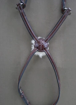 Red Barn By KL Select Equinox Figure 8 Bridle -Prestige Store noseband equinoxlarge 05965.1564083774.1280.1280